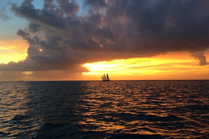 Private Sunset Cruise In Key Largo - thumb 3