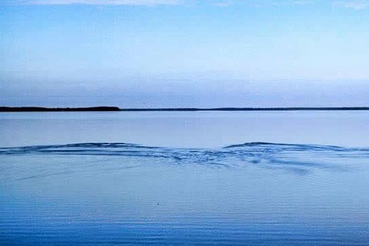 Homosassa Inshore Fishing Charters - thumb 2