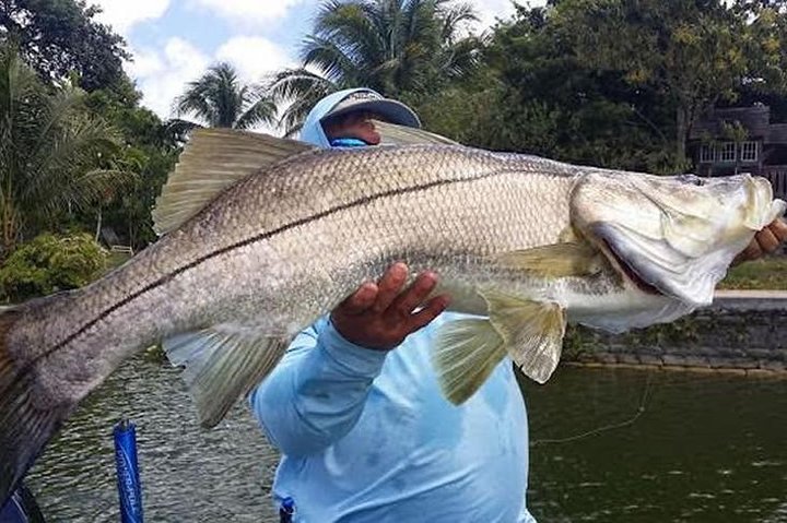Homosassa Inshore Fishing Charters - thumb 3