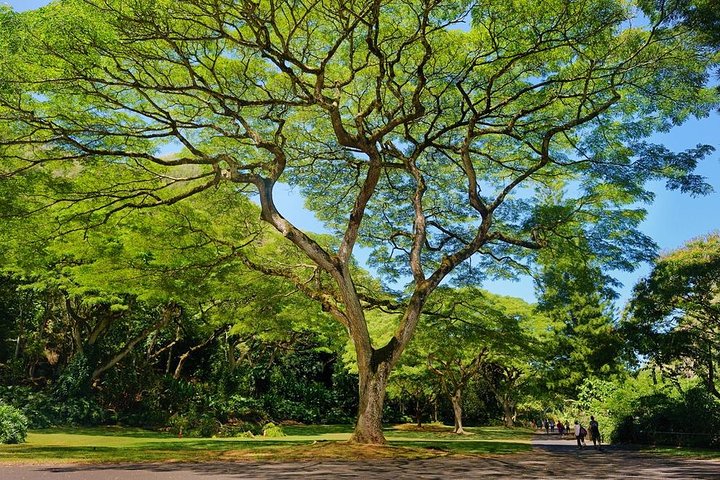 Waimea Valley Nature Walk To Waterfall - thumb 0