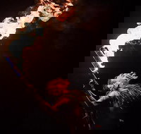 Admission to Voyagers of the Pacific Luau - USA Accommodation