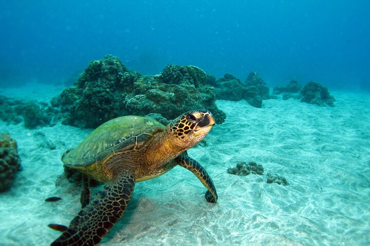 Maui Snorkeling Private Yacht - thumb 2