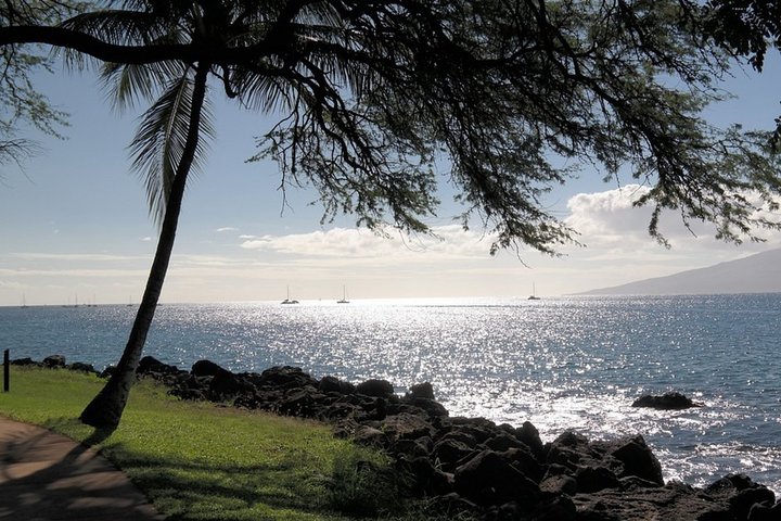 Maui Ghost Walks - Lahaina - thumb 3