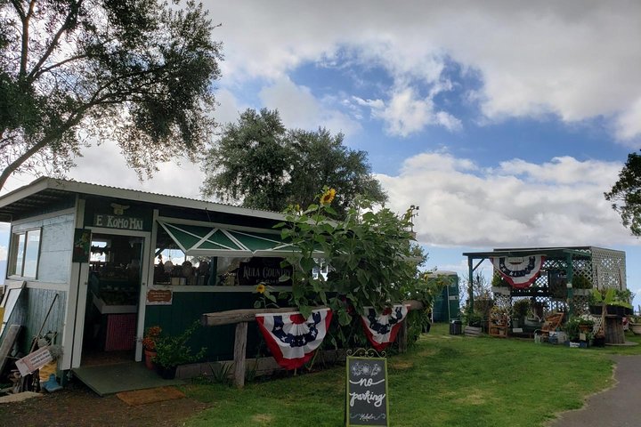 Maui Tour : Private Road To Hana - thumb 1