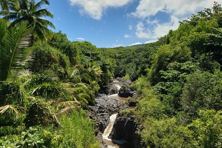 Maui Tour : Private Road To Hana - thumb 2