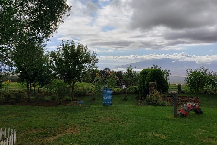 Maui Tour : Private Road To Hana - thumb 4