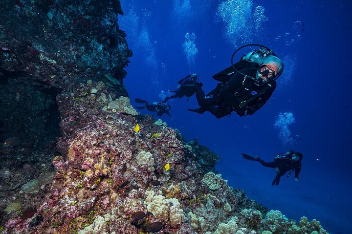 2 Tank Lanai Cathedral Dive - thumb 1