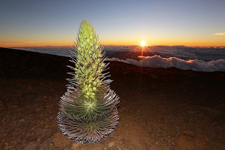 Haleakala Maui Sunset Tour - thumb 0
