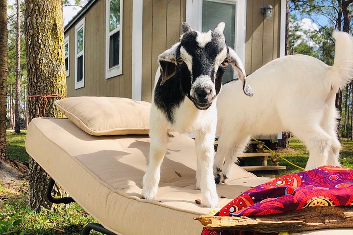 Full-Day Private Experience Wellness Program In Palm Beach - thumb 0