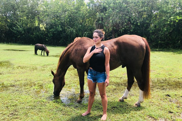 Full-Day Private Experience Wellness Program In Palm Beach - thumb 2