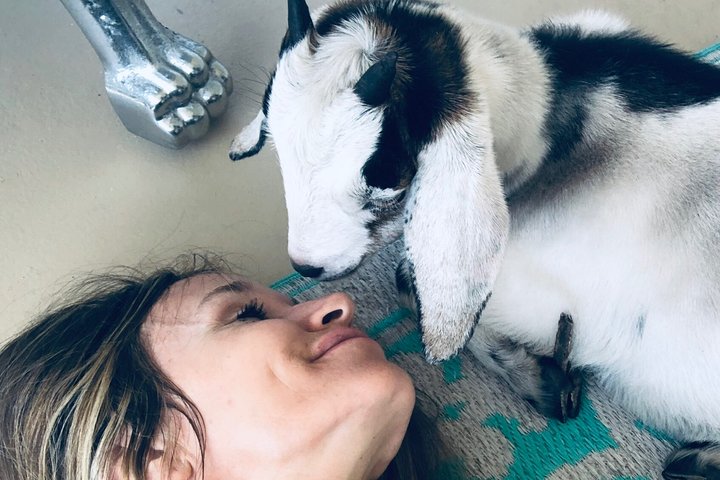 Full-Day Private Experience Wellness Program In Palm Beach - thumb 4