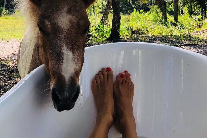 Full-Day Private Experience Wellness Program In Palm Beach - thumb 5