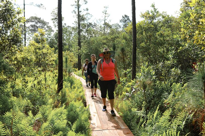 Guided Hike And Yoga Adventure In Fox Lake Park - thumb 1