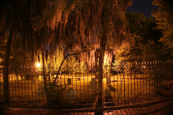 A Glimpse Of Savannah's Ghosts - thumb 3