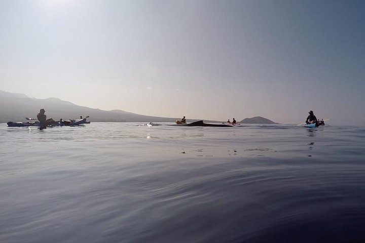 Makena Whale Watching And Snorkel - thumb 4