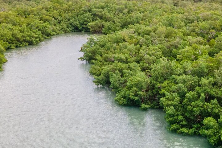 Kayak Eco Guided Tour In Bonita Springs - thumb 2