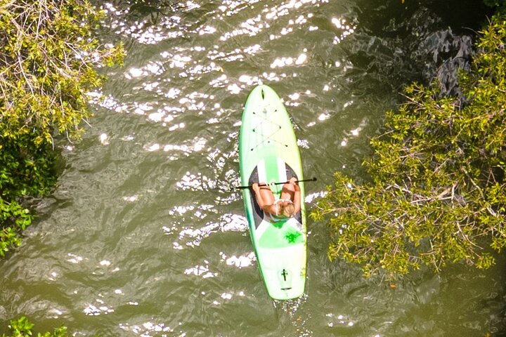 Kayak Eco Guided Tour In Bonita Springs - thumb 3