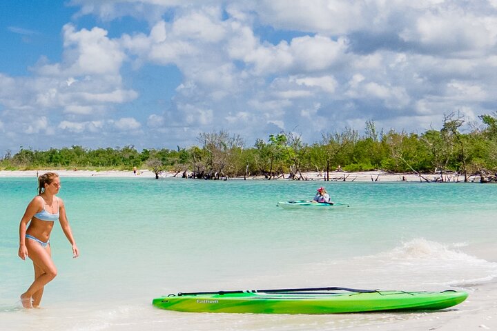 Kayak Eco Guided Tour In Bonita Springs - thumb 5