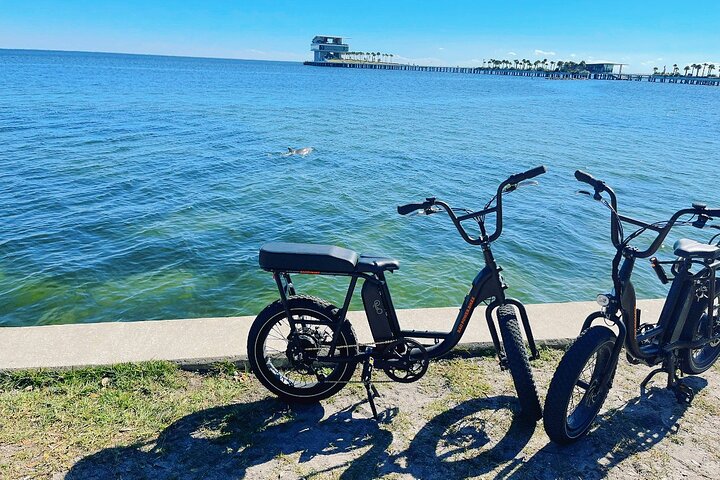 Electric Bike Day Rental - thumb 5
