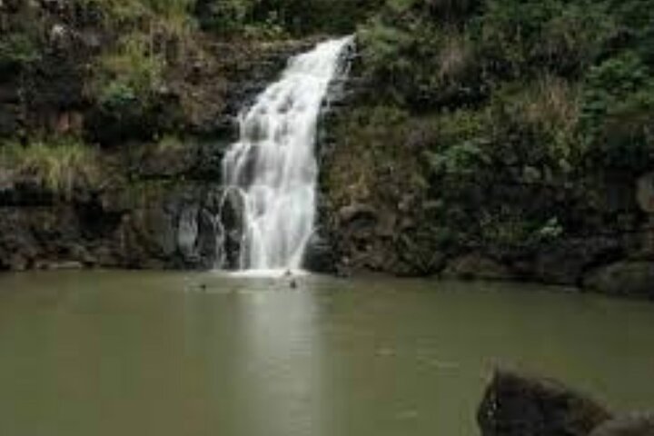 Group Circle Island Tour - thumb 3