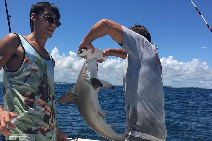 6-hour Miami Inshore Fishing Trip - thumb 4