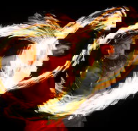 Waikiki Luau Buffet with optional Rock-A-Hula Show Ticket - USA Accommodation