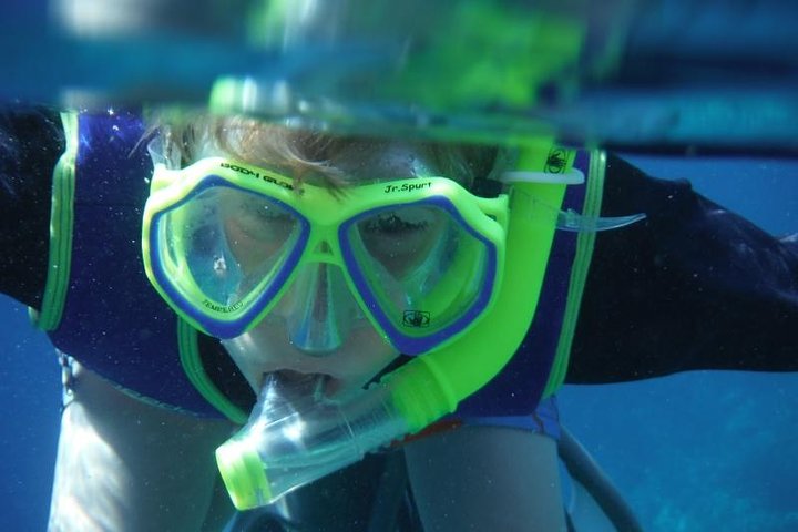 CAPTAIN COOK SNORKELING CRUISES 11:45am SNORKEL & DOLPHIN TOUR - Kealakekua Bay - thumb 3