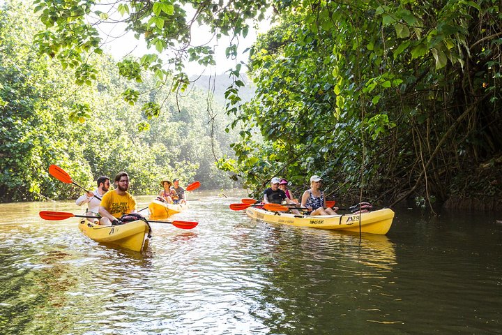 Wailua River Paddle - thumb 1
