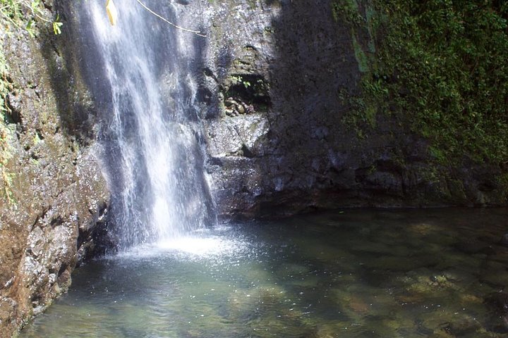 Rainforest Waterfall Trail And Shuttle Service - thumb 2