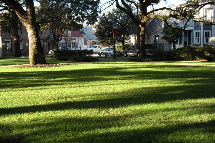 Historic Savannah Walking Tour With Greene Square - thumb 0