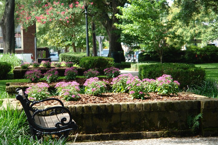 Historic Savannah Walking Tour With Greene Square - thumb 1