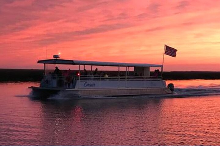 Jekyll Island Dolphin Tours - thumb 1