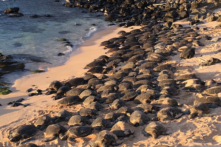 Private Road To Hana Tour - thumb 4