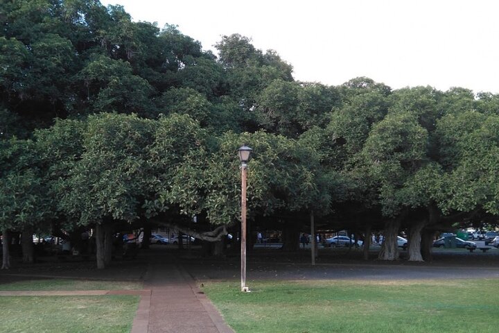 Lahaina Scavenger Hunt: Over The Rainbow - thumb 2