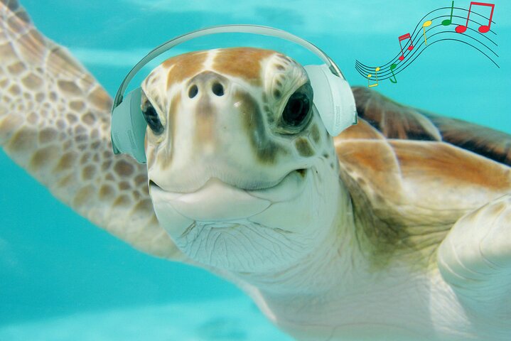 Quirky And Wild Maui Creative Scavenger Hunt - thumb 2