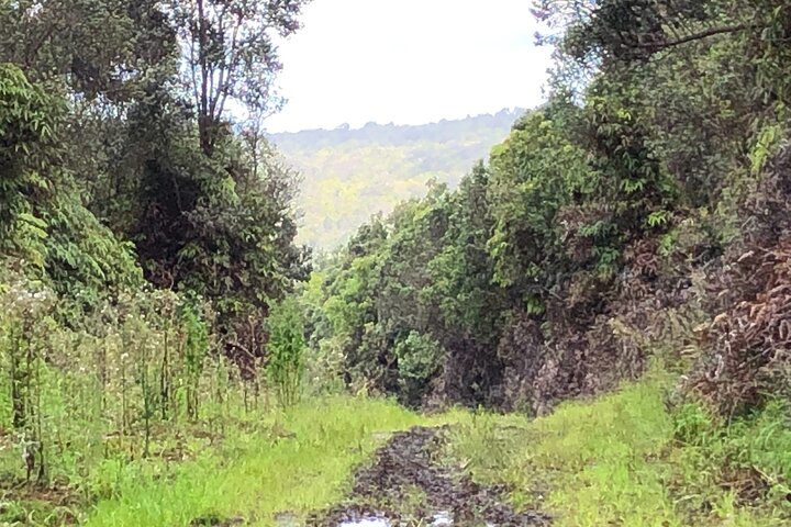 GOAT Adventure Bike Tours - thumb 3