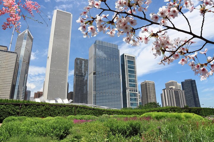 Chicago Millennium Park Self-Guided Walking Tour - thumb 4
