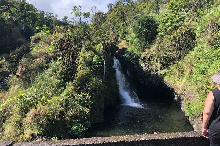 PRIVATE Full Circle Reverse - Luxury Road To Hana Tour From South Maui - thumb 3