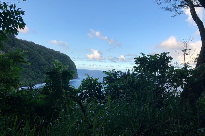 PRIVATE Full Circle Reverse - Luxury Road To Hana Tour From South Maui - thumb 4
