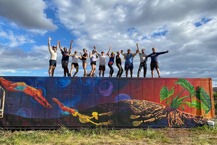 Farm Tour & Taro Tasting - thumb 5