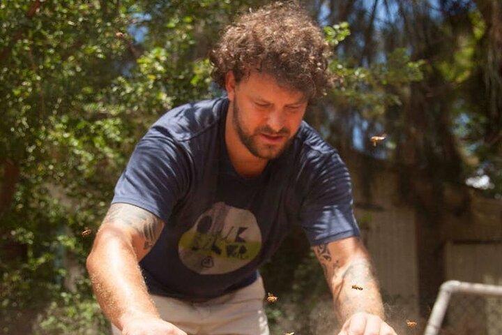 Maui Bee Tour - thumb 4