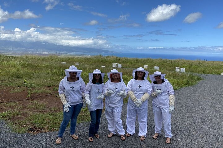 Maui Bee Tour - thumb 5