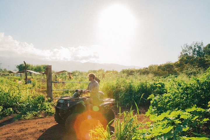 1 Hour Private Oceanfront ATV Rides - thumb 2