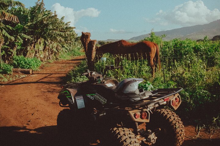 1 Hour Private Oceanfront ATV Rides - thumb 3