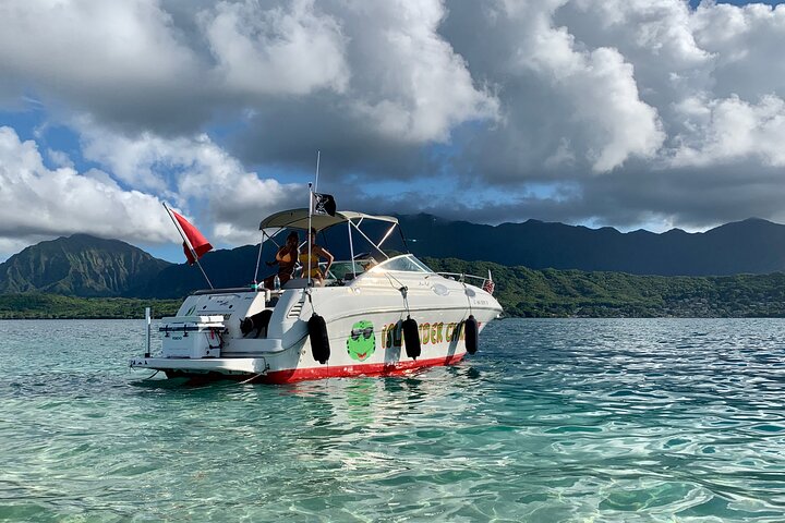 Oahu Islandwide Private Charter - thumb 3