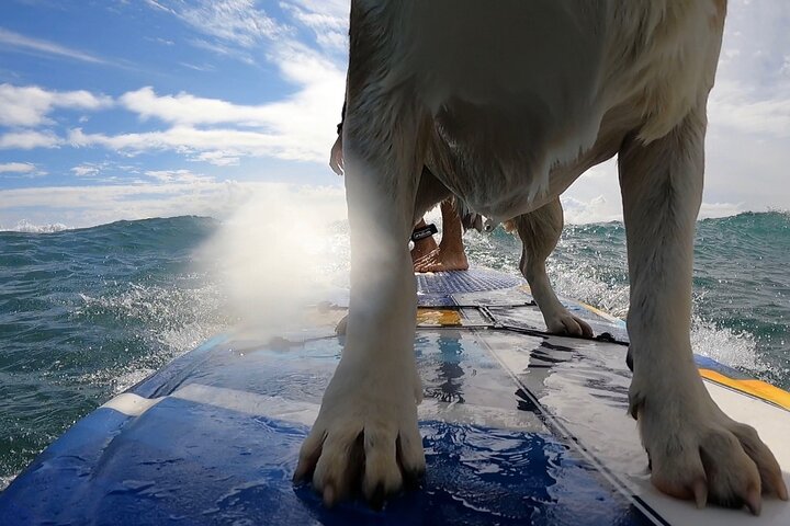 Private Surf Lessons In Maui - thumb 1