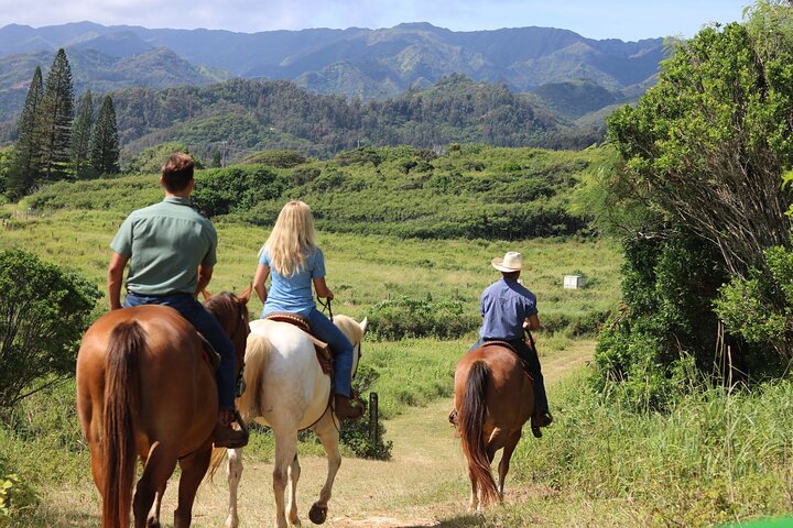 1 Hour Scenic Horseback Ride - thumb 3