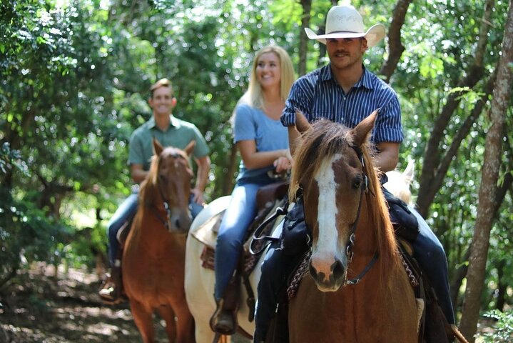 1 Hour Scenic Horseback Ride - thumb 4