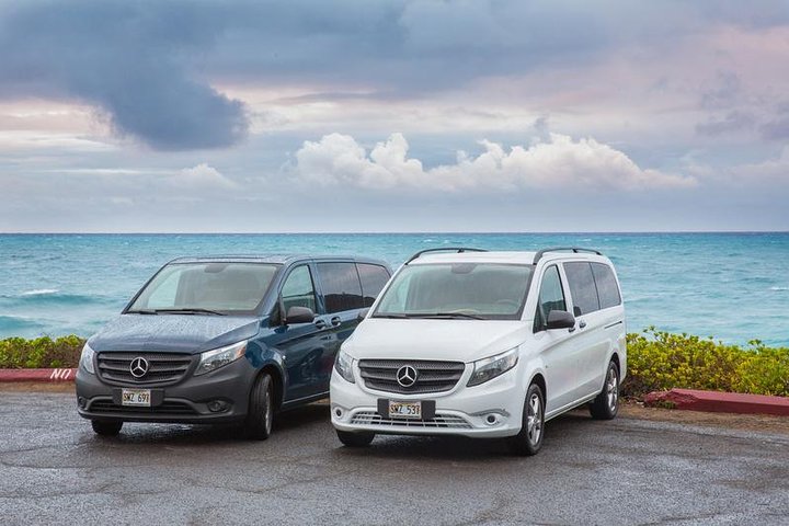 VIP Aloha Style Private Island Tour - thumb 0