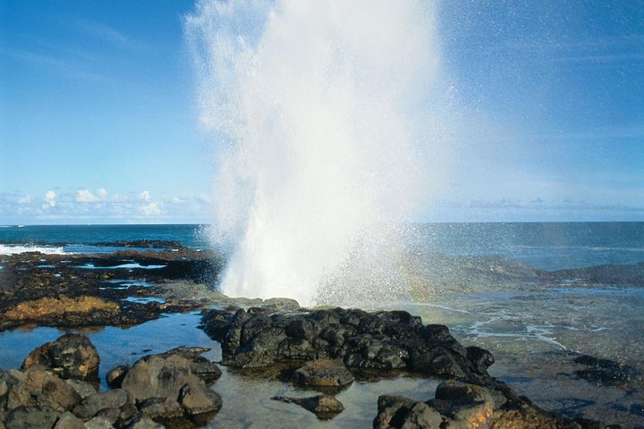 Sea Kayak Whale Watching - thumb 0